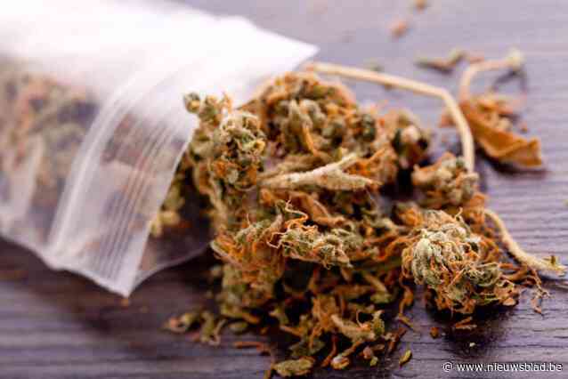 Drugskoerier riskeert 18 maanden cel nadat hij anonieme politiewagen aanziet voor klant en betrapt wordt met 30 kilo cannabis