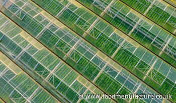 State of UK Horticulture threatens the country’s food security