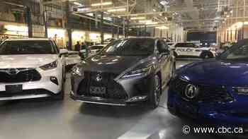 Peel police probe targets 'well-known' street gang allegedly behind violent carjackings