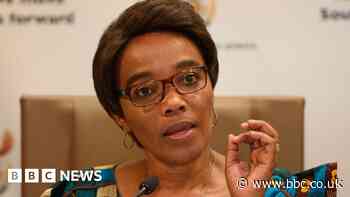 South Africa crime: Thieves put gun to Transport Minister Sindisiwe Chikunga's head