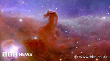 Euclid telescope: First images revealed from 'dark Universe' mission