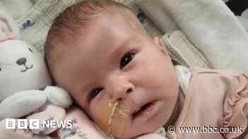 Indi Gregory: Critically ill baby granted Italian citizenship