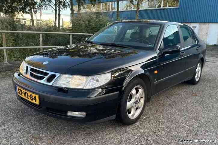 Saab 9-5 (1998) - Liefhebber Gezocht