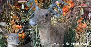 AD FEATURE: Transforming your home into a winter wonderland this year may be cheaper than you think