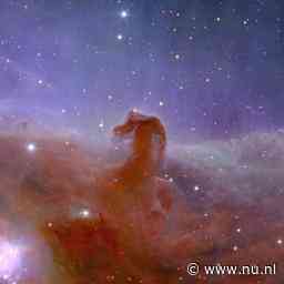 In beeld | Eerste kleurenfoto's van Euclid-telescoop tonen 'scherpste beelden ooit'