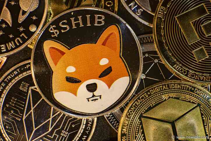 Self-Authentication System Of Shiba Inu Has Technical Issues, Developer Reveals