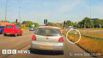Councils to fine anyone caught throwing litter from vehicles