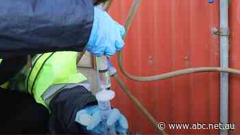 Environment watchdog says lead contamination found near gold mine 'typical' of rainwater tanks