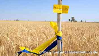 Bodenschätze der Ukraine: Die begehrten Rohstoffe des kriegsgebeutelten Landes