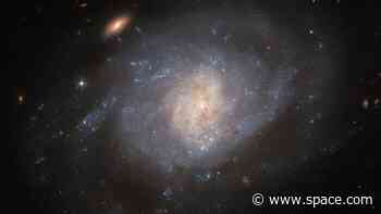 Hubble Space Telescope sees supernova wreckage in a hazy galaxy (image)