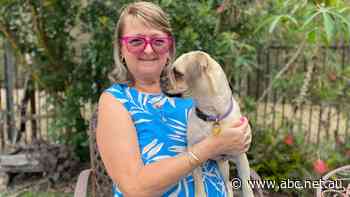 Spike in seniors seeking public housing, homelessness services after being priced out of rental market