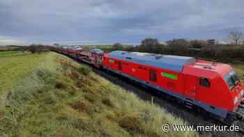 Zug kollidiert mit Rinderherde: Strecke nach Sylt gesperrt