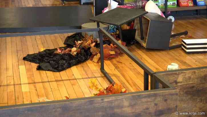 WATCH: Frantic deer crashes into Michigan lingerie store, causing chaos