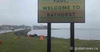 Why ‘Paul’ has gone viral, and is all anyone’s talking about in northern N.B.