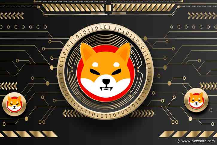 Shiba Inu Sees Surge In Whale Activity, Will This Affect SHIB?