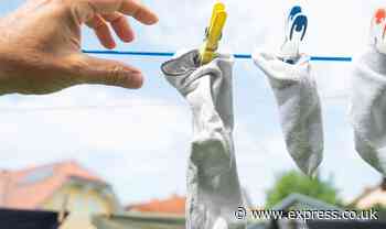 Mum’s ‘life-changing’ hack to make filthy socks look brand new again costs £3