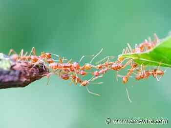 How Cross-Department Collaboration Fuels a Customer Experience Model