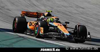 Andrea Stella: Was Norris noch lernen muss, sind 99-Prozent-Runden