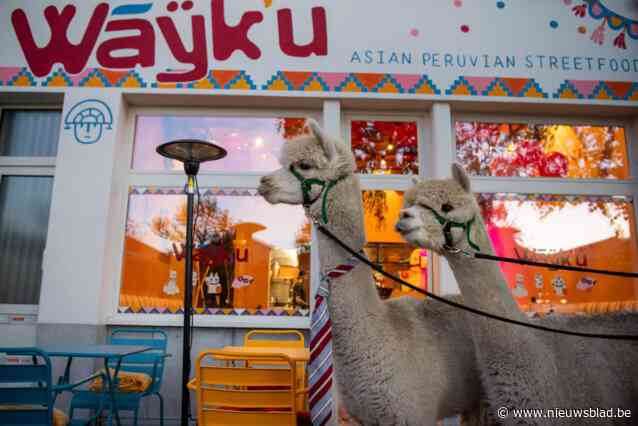 Waÿk’u, het kleurrijke kleine broertje van Lima Nikkei, opent zaterdag: “We brengen Aziatisch-Peruaanse smaken samen in streetfood”