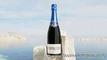 UK wine producer Hambledon acquired in joint venture