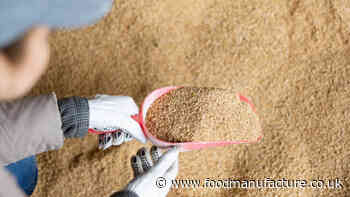 FSA opens precision bred organism framework consultation