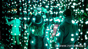 "Trame di luce", mostra immersiva di light art all'Orto Botanico