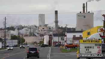 Greenpeace calls for Canadian forestry giant to lose its eco certification