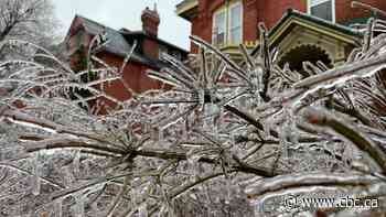 Freezing rain expected to fall this afternoon and evening across Waterloo region, Wellington county