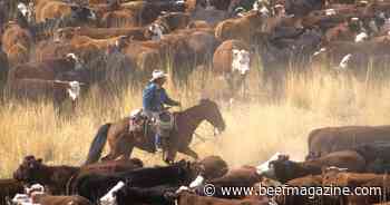 Montana Stockgrowers connecting consumers, ranchers through food service industry