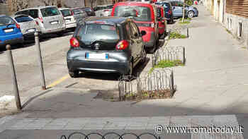 “Mancano centinaia di alberi”: i cittadini fotografano i marciapiedi spogli del Nomentano