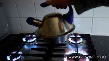 Gas cookers 'should come with a health warning': Report reveals the appliances pump out 'unsafe' levels of pollution - as experts call for Brits to move to electric hobs and ovens