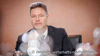 Wirtschaftsweise sehen Konjunktur weitaus skeptischer als Habeck