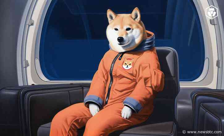 Shiba Inu Price Eyes Key Resistance, Poised For November Surge