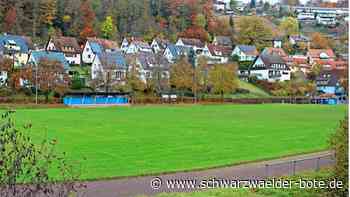 Fußballabteilung TSV Altensteig: Nur das Stadion macht den Kickern Sorge