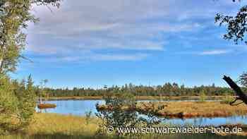 „Naturwunder des Jahres“: Wildsee   fehlen noch rund 900 Stimmen