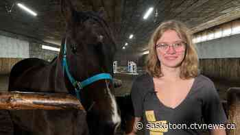 'He’ll get excited': Sask. teen taught horse to paint