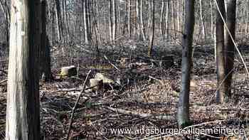 Stadt Augsburg sorgt für mehr Sicherheit in heimischen Wäldern