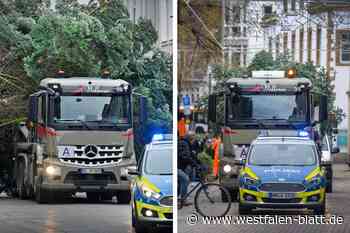 Früher war mehr Baum