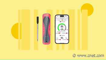 This Discounted Meat Thermometer Is a Must-Buy Before Thanksgiving     - CNET