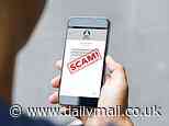 EXCLUSIVE: Tech expert reveals the three biggest phone scams currently conning millions of Americans