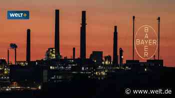 Manager werden reihenweise degradiert – Bayers radikale Rettungsversuche