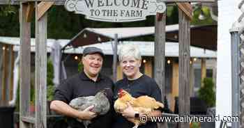 Naperville therapy chickens to move by end of June