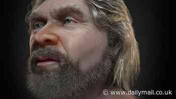 'Handsome face' of Neanderthal man who died 56,000 years ago reveals a 'softer side' of the now-extinct species