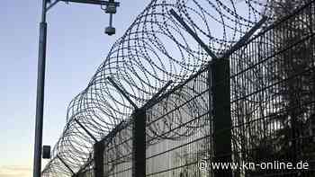 Indien: Streitkräfte wollen „Bienenkrieger“ an der Grenze einsetzen