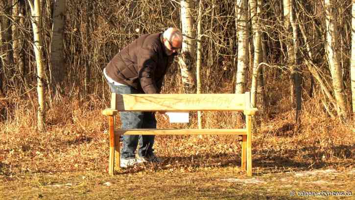 'Public spirit': Calgary woodworker crafts benches for S.W. off-leash park