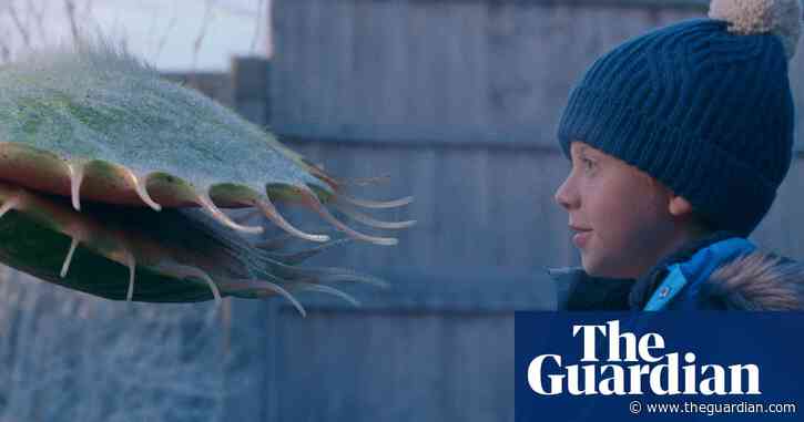 John Lewis Christmas ad snaps back on track with a Venus flytrap