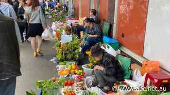 Pensioners threatened with legal action by Footscray's council over homegrown street stalls