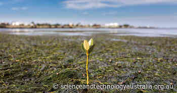 Safeguard dollars for discoveries in Research Council Act