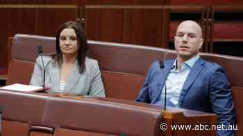 Senate passes split of workplace relations bill after Lambie and Pocock push