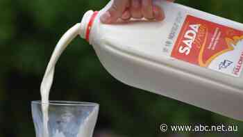 After a decade of pain, SA dairy industry celebrates success of farmer-owned milk brand